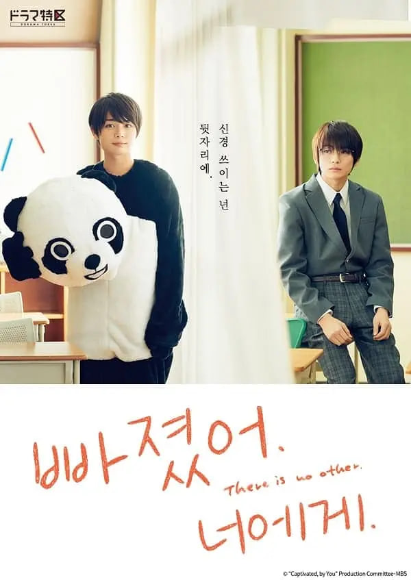 对你着迷(全集)