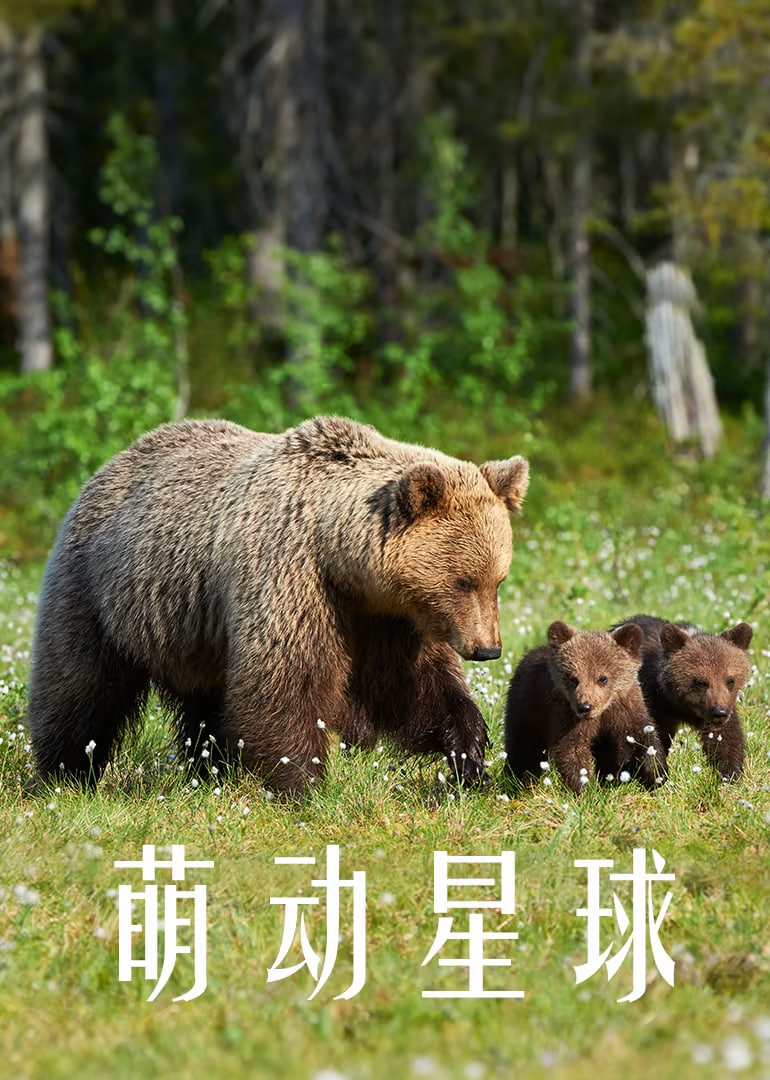 萌动星球(全集)