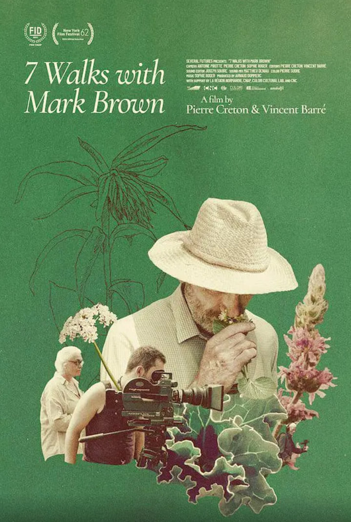 与马克·布朗的七次散步