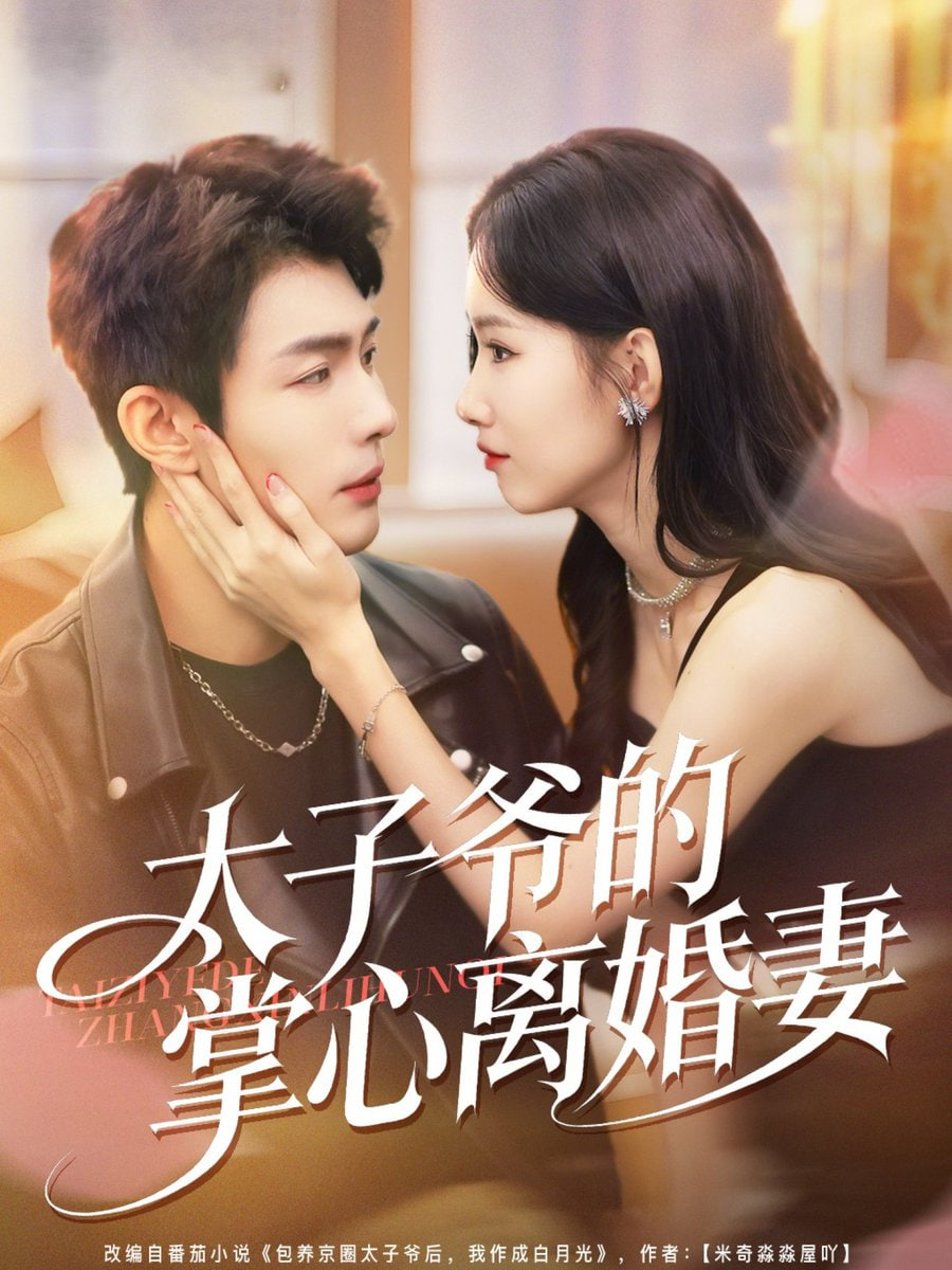 太子爷的掌心离婚妻(全集)