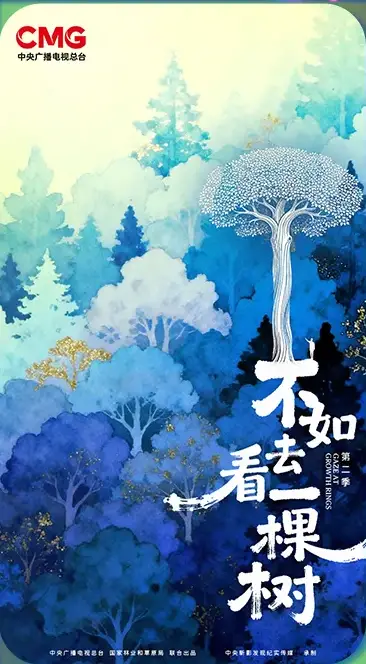 不如去看一棵树 第二季